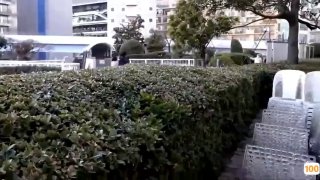 狗狗国产极品视频- 高清在线观看